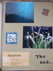 album-reunion-5.jpg
